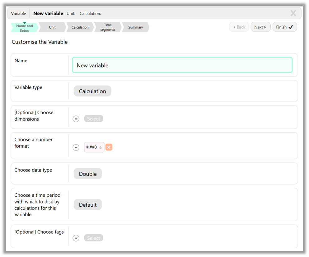 A screenshot of the Setup step of the new Variable dialog, containing several steps